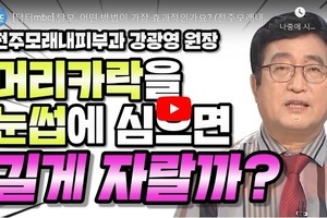 남성형 탈모와 모발이식